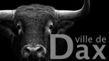 identité visuelle Dax