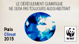affiche WWF